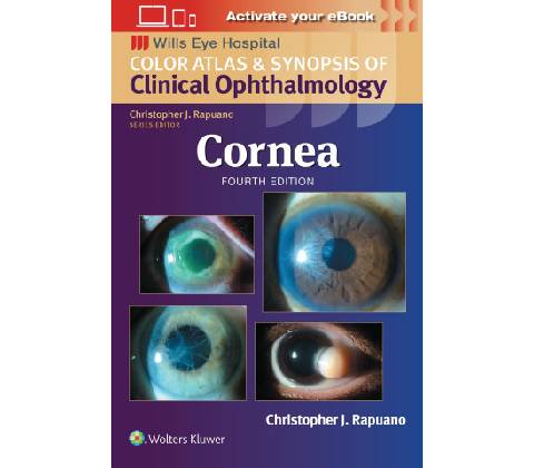 Cornea - Christopher J Rapuano