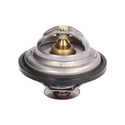 Termostat, chladivo THERMOTEC D2IV004TT