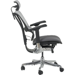 Ergohuman Ергономичен стол ergohuman ioo elite 2 - черна рамка - сив (3520668) - bay
