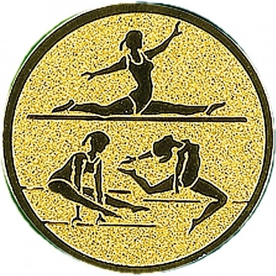 Emblém E151 Gymnastika