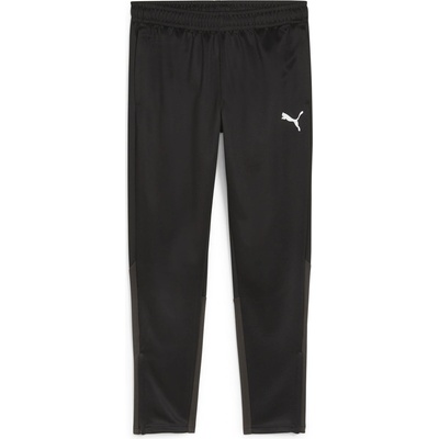 PUMA Teamgoal training pant jr m
