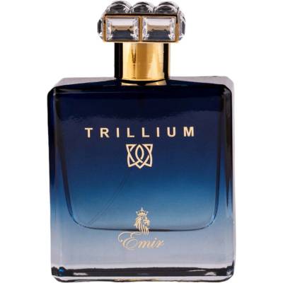 Emir Trillium parfumovaná voda pánska 100 ml