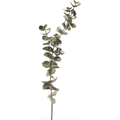 Blahovičník - Eukalyptus 'Oslo' (spray) béžový (champane) V81 cm - vánoční dekorace