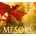 Mesoké