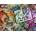 Ravensburger - Puzzle Aimee Stewart: The Archaeologist’s Desk - 500 piese