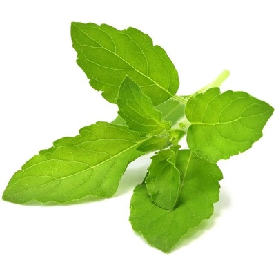 Click & Grow Семена Click and Grow, свeщен босилек (Тулси), 3 броя (SGR66X3)