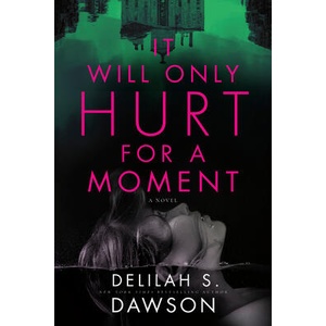 IT WILL ONLY HURT FOR A MOMENT (ISBN: 9780593156674)