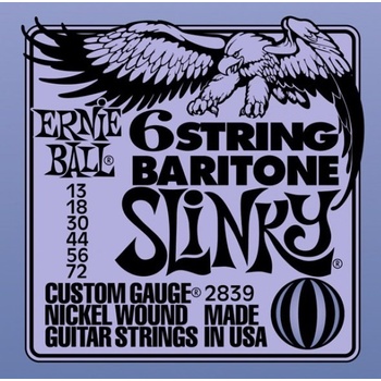 Ernie Ball 2839