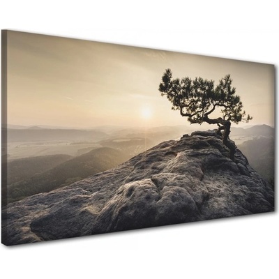 Divio Obraz na plátně osamělý strom, vzor 41230 Velikost: 60x120 cm