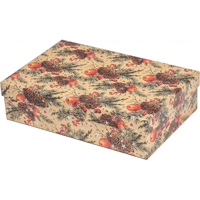 ARGUS Darčeková krabica vianočný papier - Mandarínky 25391175