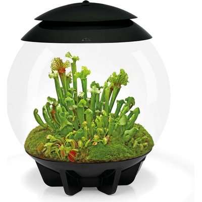 BiOrb Air Terrarium černé 30 l
