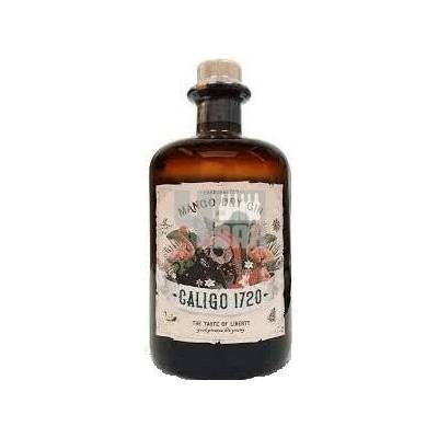 Caligo 1720 Mango Dry Gin 42% 0,5 l (holá láhev)