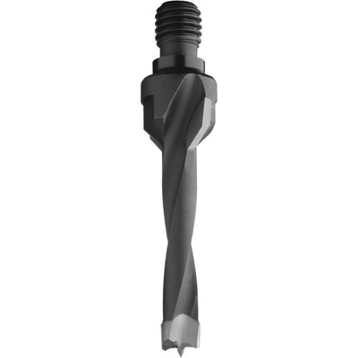 IGM C32505011