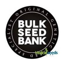 Bulk Seed Bank Auto Coffe Rocket semena neobsahují THC 1000 ks
