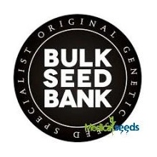 Bulk Seed Bank AUTO Coffe Rocket semena neobsahují THC 1000 ks