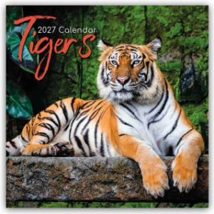 Browntrout Verlags GmbH Tigers - Tiger 2027 - 16-Monatskalender | The Gifted Stationery Co. Ltd