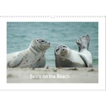 Calvendo Seals on the Beach (Wall Calendar 2026 DIN A3 landscape), CALVENDO 12 Month Wall Calendar | Calvendo, Martina Fornal