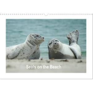 Calvendo Seals on the Beach (Wall Calendar 2026 DIN A3 landscape), CALVENDO 12 Month Wall Calendar | Calvendo, Martina Fornal