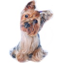 Lamps 58796 Vankúš Yorkšír 25x38