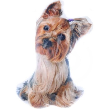 Lamps 58796 Vankúš Yorkšír 25x38