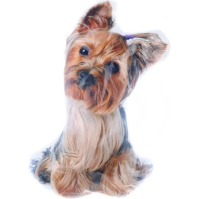 Lamps 58796 Vankúš Yorkšír 25x38