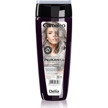 Delia Cameleo Flower Water tónovací barva na vlasy Silver 200 ml