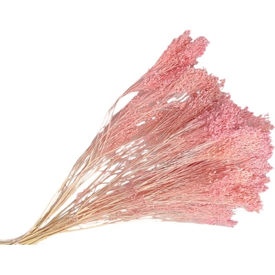 Sušené kvety Broom Bloom kytica 100g - bielené ružové
