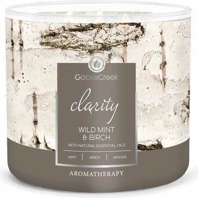 Goose Creek Candle AROMATHERAPY WILD MINT & Birch 411 g