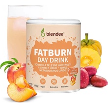 Blendea Fatburn Day Drink 100 g