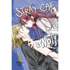 STRAY CAT & WOLF V02 | V02 (ISBN: 9781975370558)