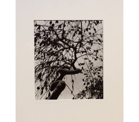 Jan Lauschmann - Strom