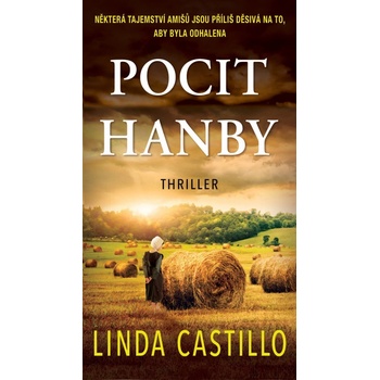 Pocit hanby - Linda Castillo