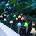 Garden of Eden 11243B