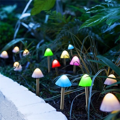 Garden of Eden 11243B