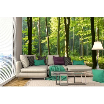 DIMEX ART s. r. o Самозалепваща се флизелинова фототапета сутрешна разходка в гора 375 x 250 см