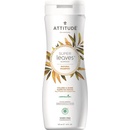 Attitude Super leaves Shampoo lesk a objem pro jemné vlasy 473 ml