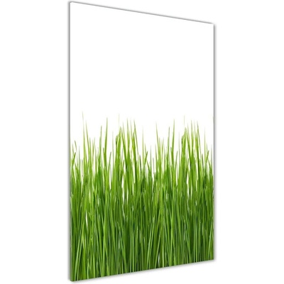 Vertikálny foto obraz sklenený Zelená tráva 50x100 cm