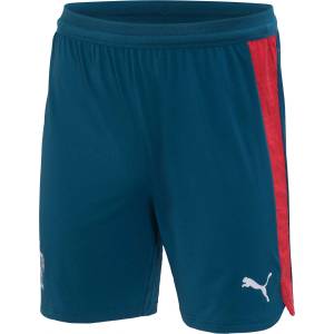 PUMA Къси панталони FPF Training Shorts Pro (78477515)