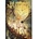 Promised Neverland, Vol. 13