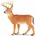 Safari Ltd Safari® Бялопашат елен (S180029)