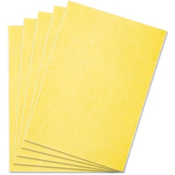 Shesto Modelcraft маскираща хартиена фолио 195x280mm (5бр)