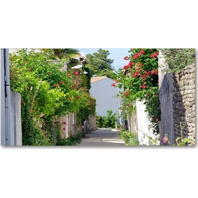 Foto obraz sklo tvrzené Kvetná alej 100x50 cm