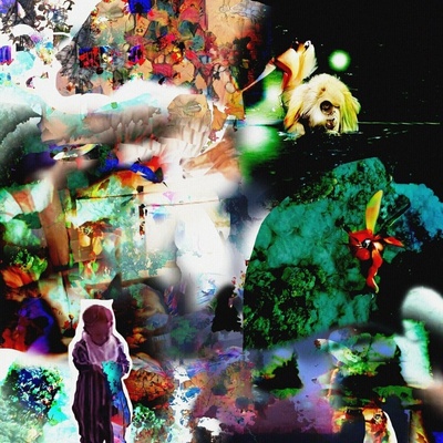 Acidhead - Distractions LP