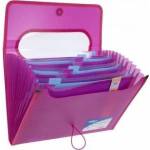 Strigo PP briefcase VFILE A5 with 12 blades pink