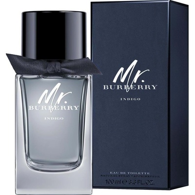 Burberry Mr. Burberry Indigo toaletní voda pánská 30 ml