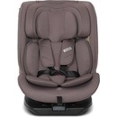 Image 1 of Lorelli Rodeo