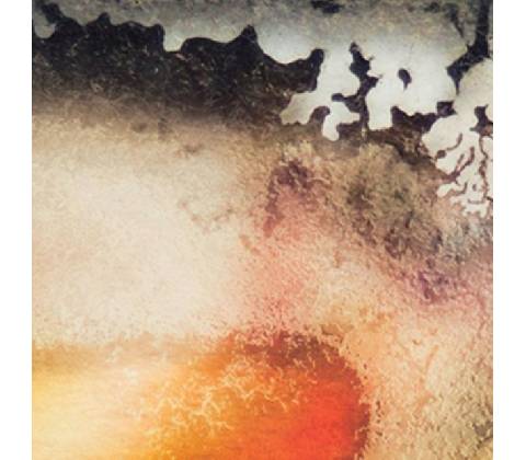 Scape - Multicast Dynamics LP