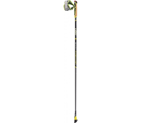 Leki Smart Pacemaker