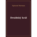 Druidský král