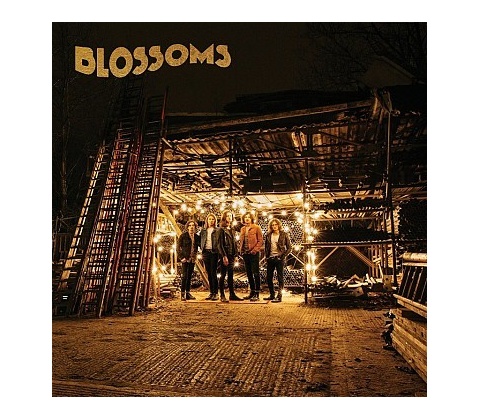 BLOSSOMS: BLOSSOMS CD
